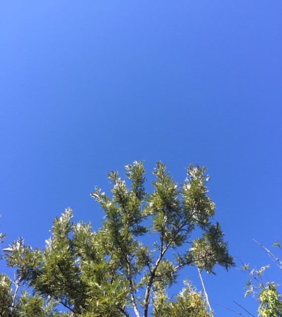 blue sky 2